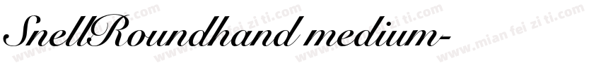 SnellRoundhand medium字体转换